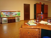 ОБСЛУЖИВАНИЕ АКВАРИУМОВ!!!