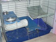 Клетку для хорьков,  шиншил,  кроликов