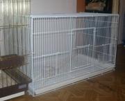Клетка - пролетка