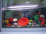 АКВАРИУМ ПСЕВДОМОРЕ 150 ЛИТРОВ