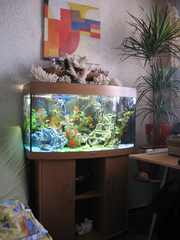 Аквариум на заказ