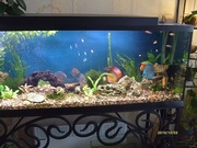 Изготовление аквариумов на заказ