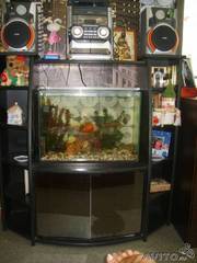 Продаю аквариум вместе с полкой