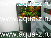 Аквариумы морские,  псевдоморские,  речные на заказ!