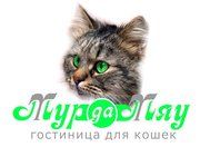 Гостиница для кошек и котов «Мур-Да-Мяу»