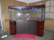  продам аквариум понарамный