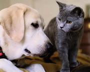 КОНСУЛЬТАЦИЯ, ПОМОЩЬ!!!