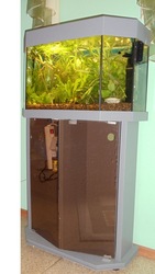 Продам аквариум  И всё к нему подходящее)