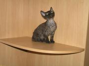 LКотята Девон Рекс мальчик и девочка