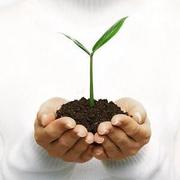 Органическое удобрение БИОГУМУС