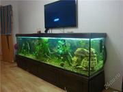 изготовление аквариумов