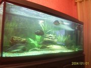 Аквариум 400л