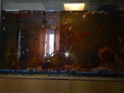 АКВАРИУМ 150 ЛИТРОВ РЫБКИ СМЫ ОБОРУДОВАНИЕ