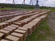 Продам пчелопакеты 2012