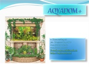 Аквариум от 100 до 900 литров 