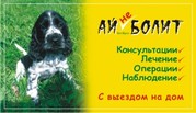 Ветеринарный врач Ай-НЕ-Болит