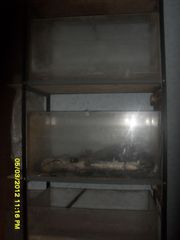 продаю аквариумы в хорошем состояние....................