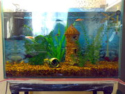 Продается аквариум 60 литров