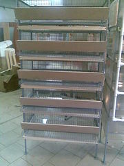 Перепела (яйцо, птица, мясо, клетки, брудер)