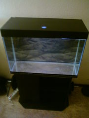 продам аквариум продаю Астрахань, купить Астрахань, куплю Астрахань, п