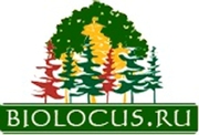 Биолокус – питомник саженцев деревьев и растений,  продажа,  доставка и 